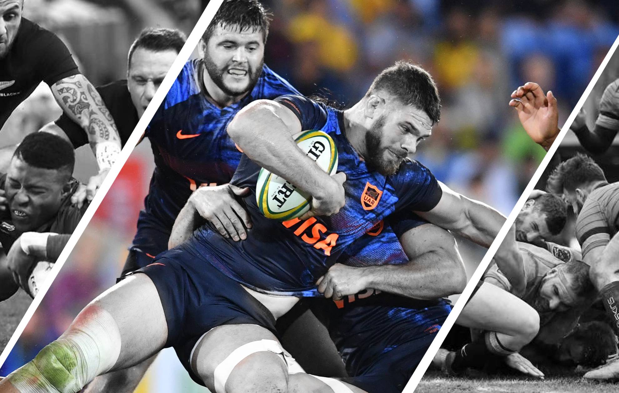 seccion de Rugby
